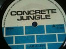I JAH MAN LEVI  I AM A LEVI  CONCRETE JUNGLE EX++