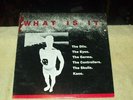 WHAT IS IT? Comp LP KBD PUNK HARDCORE Dils Germs Kaos