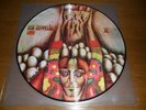 Led Zeppelin II TURKISH COVER Picture Disc