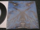 The Dead Weather bizarro third man jack white hang you