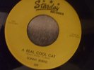 sonny burns real cool cat starday 45