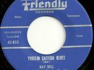 ROCKABILLY 45 RAY BELL & The Dixie Rhythm Ramblers NICE
