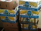 +/- 4000 Nederlandstalige single afkomstig uit Belgie