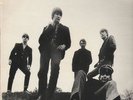 THE ANIMALS 