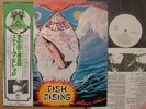PROMO WHITE LABEL STEVE HILLAGE FISH RISING JAPAN OBI