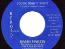 DAVID MARTIN & RARE ESSENCE MODERN SOUL DISCO 45 Rekord