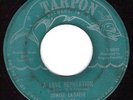 DENISE LA SALLE Love Reputation NORTHERN SOUL 45 Tarpon