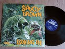 SAVOY BROWN LOOKING IN 1ST UK PRESS DECCA