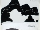 SONORA: Self Titled LP private press SSW synth HEAR