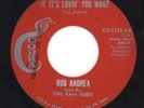 Rod Andrea 1965 Cobra 45rpm Northern Soul Tex-Mex