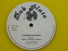 DENNIS 'STRUGGLE' HAMILTON - RAINBOW COUNTRY 12