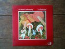 MUTUAL UNDERSTANDING LP IN WONDERLAND OG BEAUTIFUL COPY