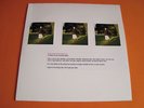 Mountain Goats Come, Come To The Sunset Tree LP Vinyl