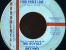 LIVERPOOL SOUND OF THE ROYALS rare GARAGE 45 listen