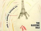 Electric Eels LP Having a philosophical ...Stooges MC5