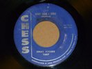 JIMMY ROGERS - WHAT HAVE I DONE -           popcorn