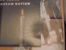 SONIC YOUTH DAYDREAM NATION DOUBLE LP (signed poster)