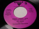 LEE FIELDS ANGLE 3 MIGHTY MIGHTY LOVE RARE  -LISTEN