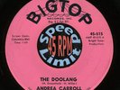 HEAR Andrea Carroll - The doolang