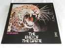 PETER GREEN (FLEETWOOD MAC)THE END OF THE GAME LP EX