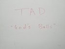 TAD 1st LP SUB POP Test Pressing MINT Bruce Pavitt UGH