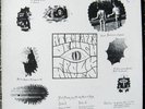 FROLK HAVEN At The Apex Of High lp THE POLICE Psych