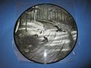 Burzum Hvis Lyset Tar Oss Pic Lp Misanthropy Darkthrone