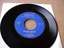 Vilons Mother Nature Doo Wop Orig 45 Thick Wax NM