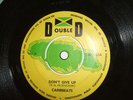 DONT GIVE UP-CARIBBEATS ON DOUBLE D