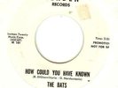 BATS:How Could You Have Known-Evelyn-7