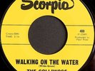 garage 45 GOLLIWOGS Walking On The Water SCORPIO Hear