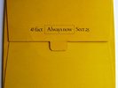 SECTION 25 Always Now LP Factory FACT 45 Joy Division