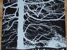 Mirkwood Progressive Vinyl LP Amber Soundroom Near Mint