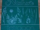 Tetragon Nature Progressive Vinyl LP Amber Soundroom