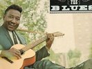 BRASS AND THE BLUES      MUDDY WATERS