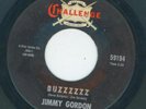 KILLER GARAGE FUZZ TITTYSHAKER -- JIMMY GORDON BUZZZZZZ