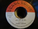 Barry Brown Are You Ready Killer Roots 7