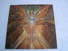 Cynic-Focus,