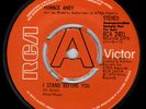 HORACE ANDY - I STAND BEFORE YOU- RCA- 1973 - DEMO