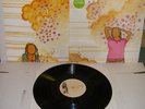 Panda Bear - Young Prayer LP OG Animal Collective