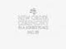 New Order/Joy Division  - Ceremony (RSD 12'' Vinyl)
