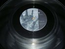 porcupine tree 12