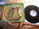CATAPILLA SAME LP IN 1971 MINT  SWIRLI