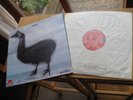 WEB I SPIDER 1970 MINT UK PROGRESSIVE TOP RARITY