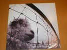 Pearl Jam VS Epic LP Original 1993 Gatefold Rare GREAT
