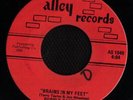GARAGE FUZZ 45 PURPLE CANTEEN BRAINS ON MY FEET MINT