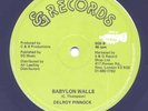 DELROY PINNOCK - BABYLON WALLS -  ROOTS 12 - Sound Clip