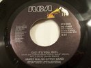 James Walsh Gypsy Band Cuz It's You Girl 1978 Soul 45