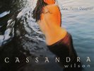 AUDIOPHILE CASSANDRA WILSON New Moon Daughter 2LP NM