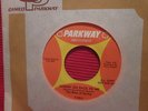 THE RITES OF SPRING 45-rare 60's GARAGE promo Psych MP3